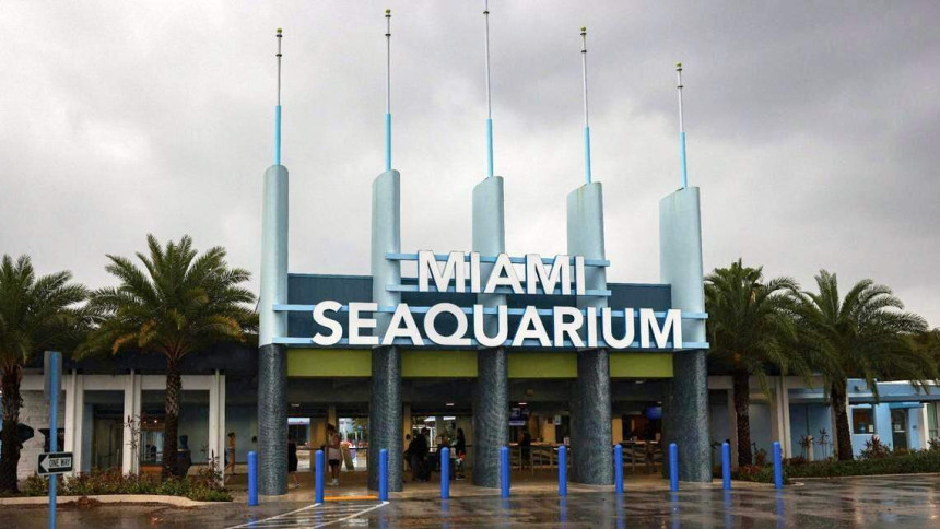 El emblemático Miami Seaquarium cierra sus puertas definitivamente el domingo 12 de octubre
